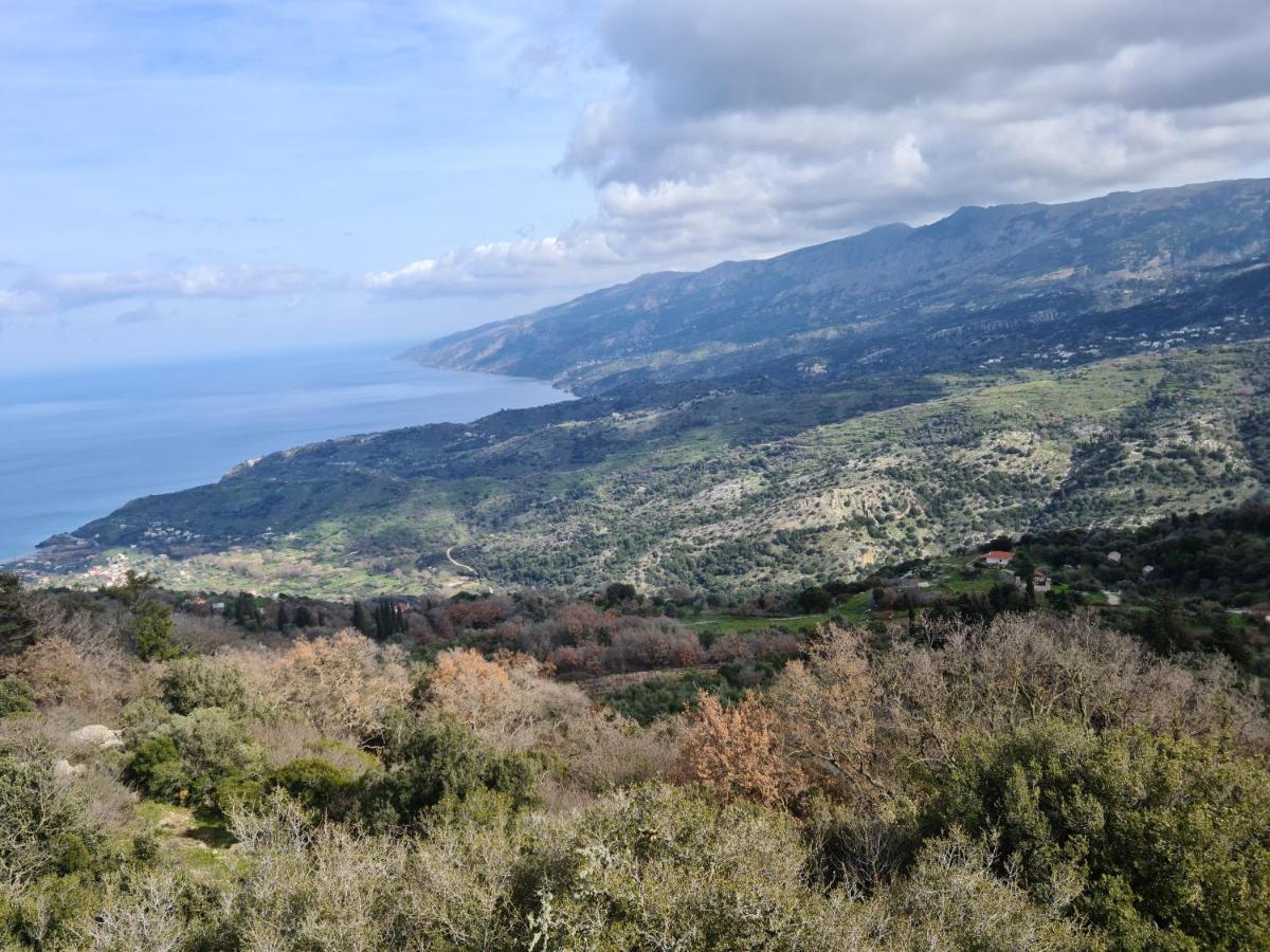 Panoramic Home - Krevatokamara Me Thea ! Ráhesz Kültér fotó